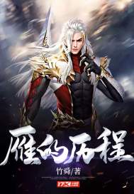 雁的历程 雁的历程