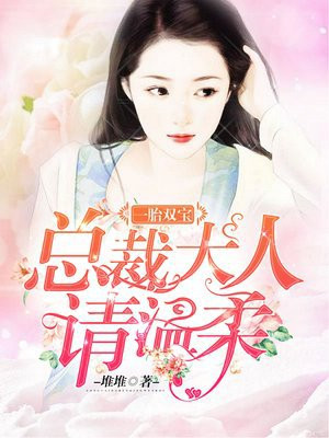 一胎双宝:总裁大人,请温柔
