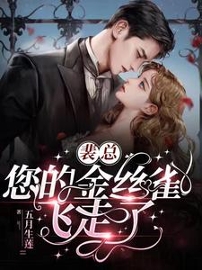 裴总,您的金丝雀飞走了