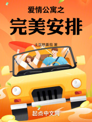 爱情公寓之完美安排