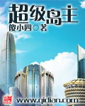 超级岛主 超级岛主