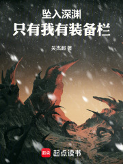 坠入深渊:只有我有装备栏