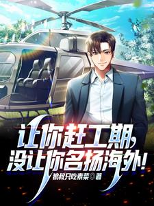 让你赶工期,没让你名扬海外!