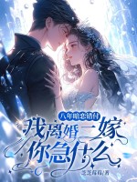 八年暗恋错付,我离婚二嫁你急什么?