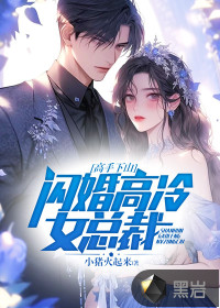 高手下山:闪婚高冷女总裁